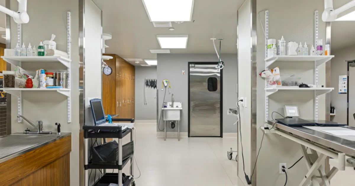 Multi-Location Healthcare Practices: One Website That Still Feels Local